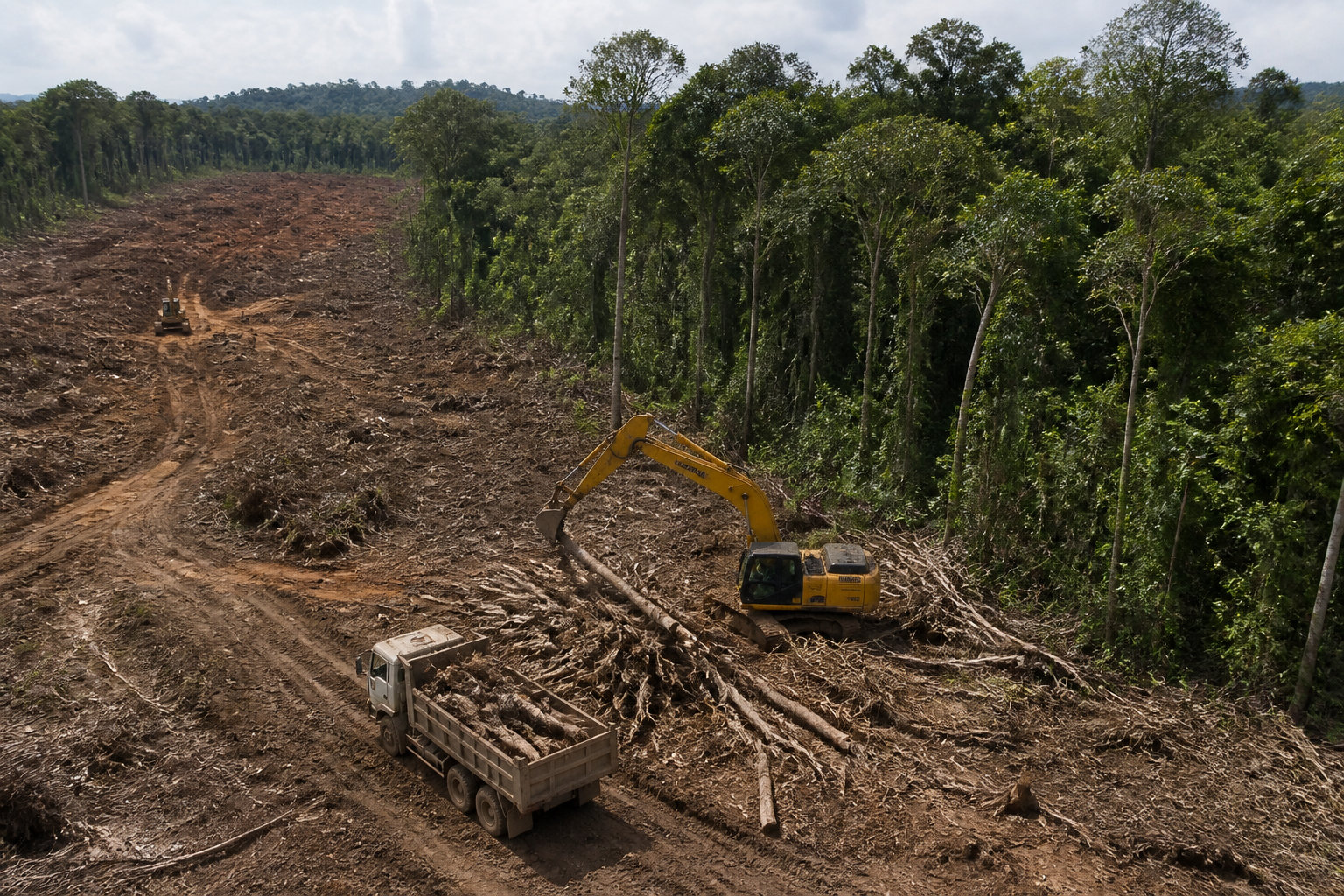 Impact des activités humaines sur les équilibres naturels