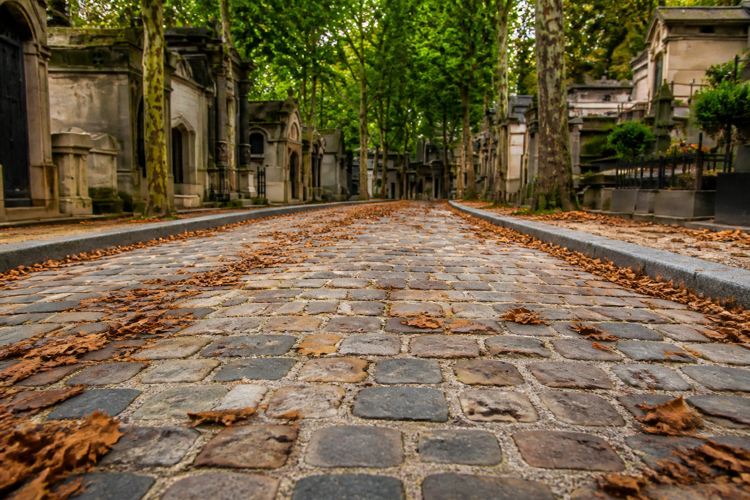 Pourquoi marcher en ville peut aussi vous apaiser ?