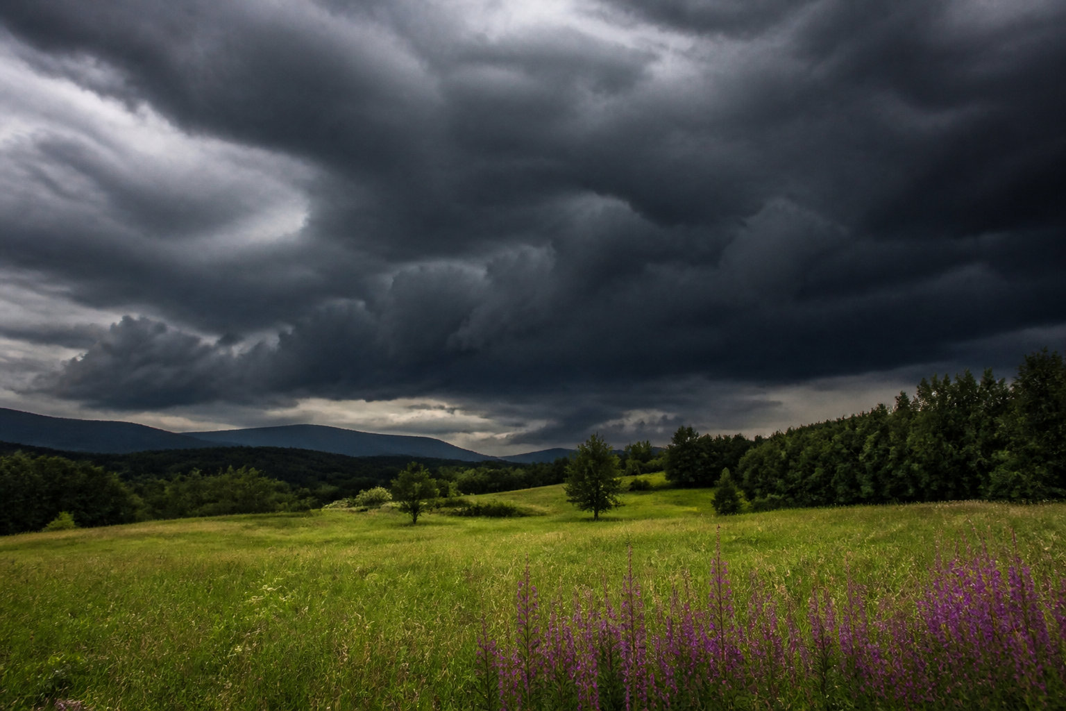 L'impact de la pression atmosphérique et du stress thermique