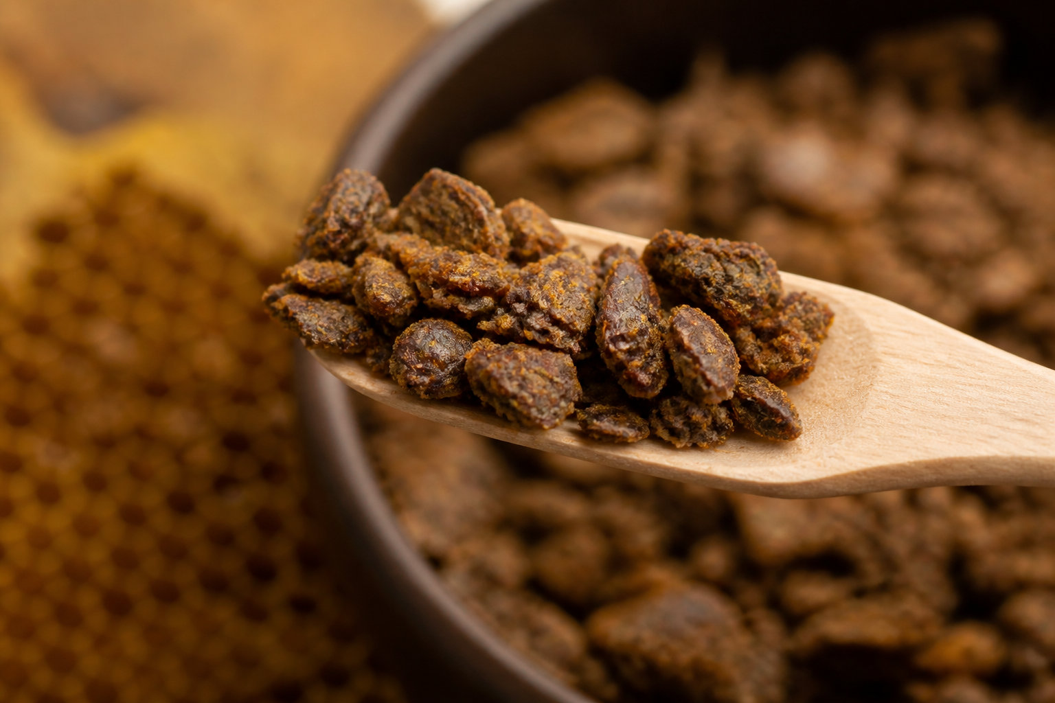 Secrets de la propolis et vertus de l'air des abeilles